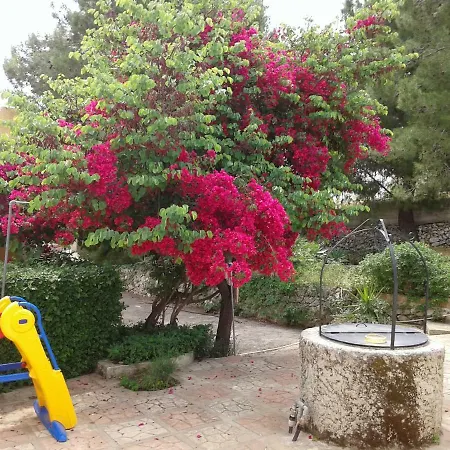 Villetta Rosa Iv Strada Fegotto 펜션 플로리디아